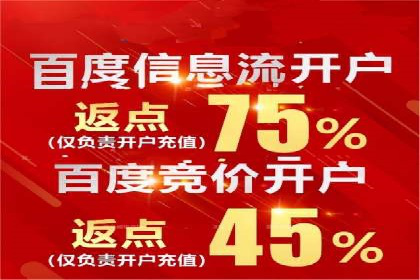 百度SEO推广公司案例精选：揭秘优化策略